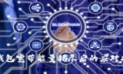 TP钱包宽带能量耗尽后的应